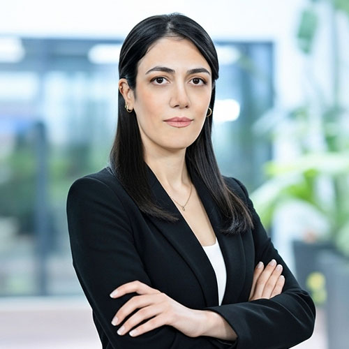 Arezoo Amini